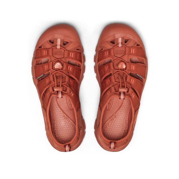 Men's Newport H2 Sandal | Monochrome/Burnt Brick