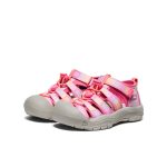 Little Kids' Newport H2 | Hot Pink/Orchid Petal