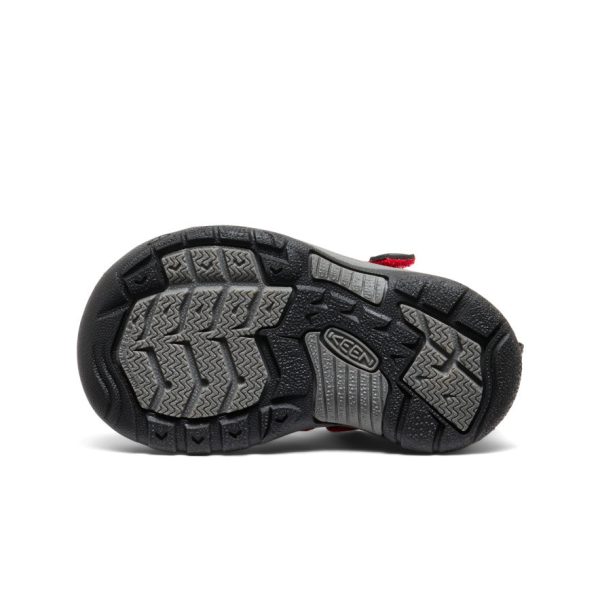 Toddlers' Newport H2 | Ribbon Red/Gargoyle