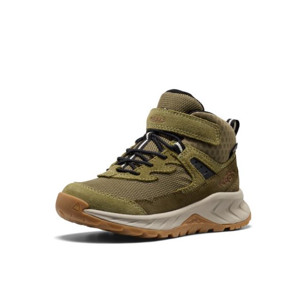 Little Kids' Hightrail Waterproof Hiking Boot  |  Dark Olive/Martini Olive