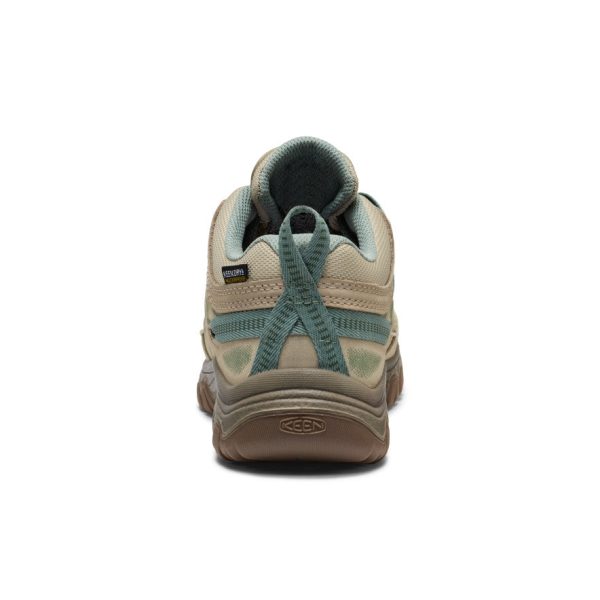 Women's Targhee IV Waterproof Hiking Shoe | Abbey Stone/Lily Pad