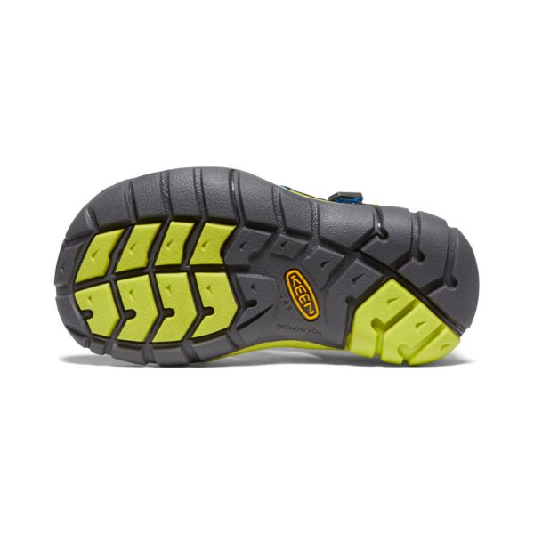 Little Kids' Seacamp II CNX | Black/Brilliant Blue