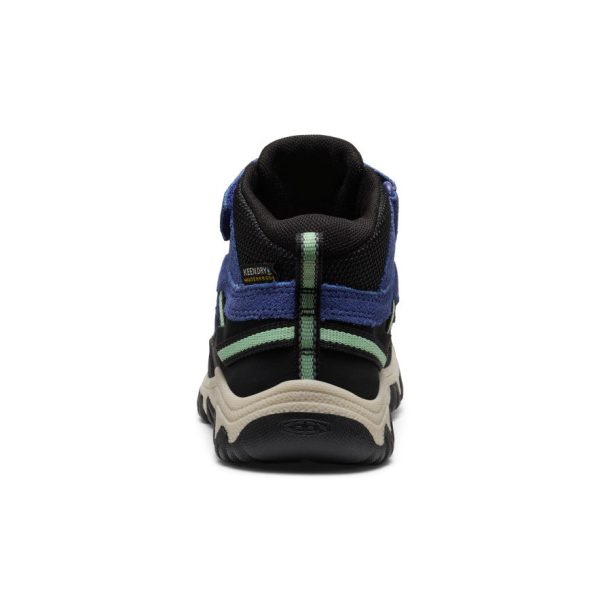 Little Kids' Targhee IV Waterproof Hiking Boot  |  Skipper Blue/Hemlock