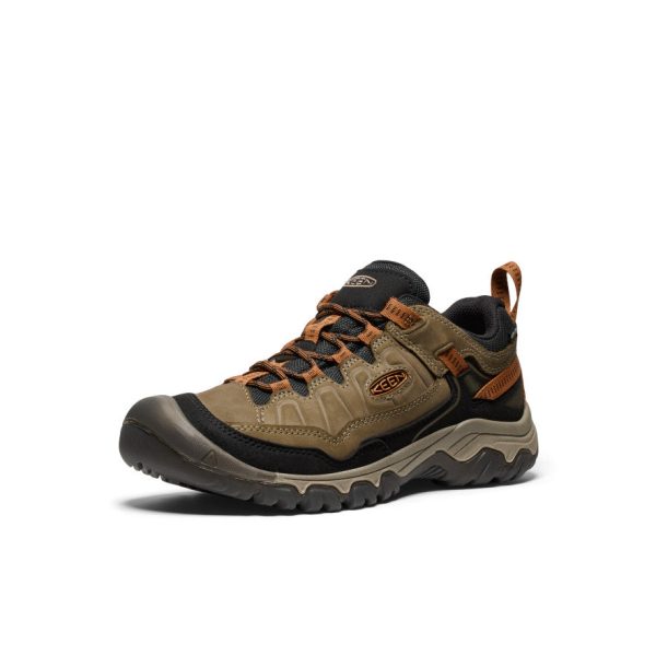 Men's Targhee IV Wide Waterproof Hiking Shoe  |  Sea Turtle/Roasted Pecan