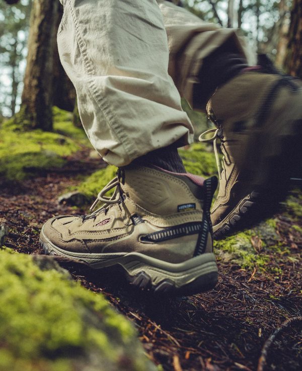 Women's Targhee IV Waterproof Hiking Boot  |  Brindle/Nostalgia Rose