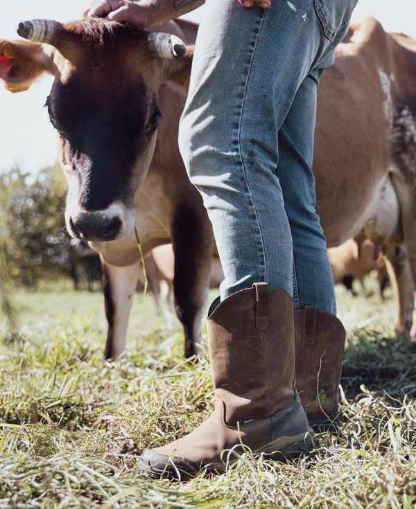 Women's Evanston Pull-On Waterproof Boot (Carbon Toe)  |  Bison/Black