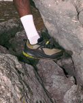 Men's Roam Trail Running Shoe  |  Birch/Brindle