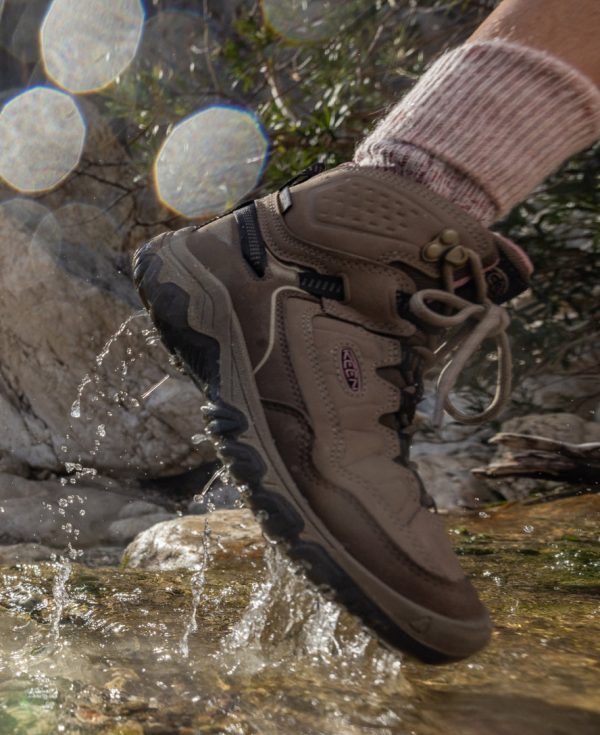 Women's Targhee IV Waterproof Hiking Boot  |  Bison/Beaujolais