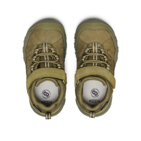 Little Kids' Targhee IV Waterproof Hiking Shoe  |  Martini Olive