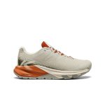 Men's Targhee Apex Waterproof Hiking Shoe  |  Abbey Stone/Gold Flame