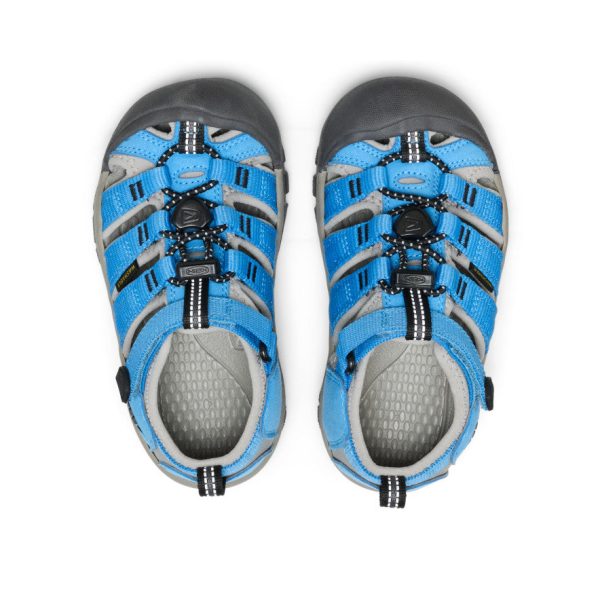 Little Kids' Newport H2  |  Azure Blue/Drizzle