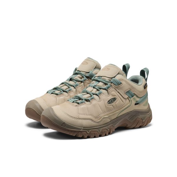 Women's Targhee IV Waterproof Hiking Shoe | Abbey Stone/Lily Pad