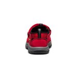 Toddlers' Newport H2 | Ribbon Red/Gargoyle